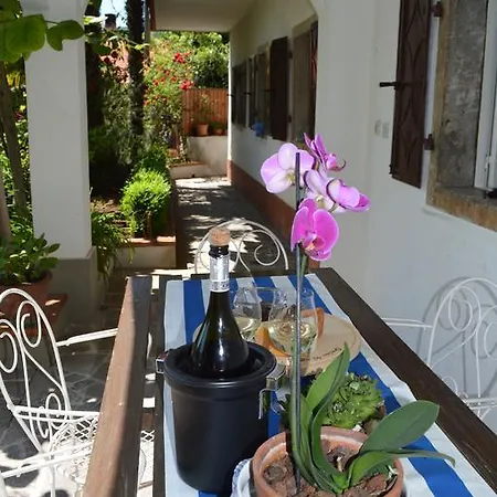 Apartament Mare Monti